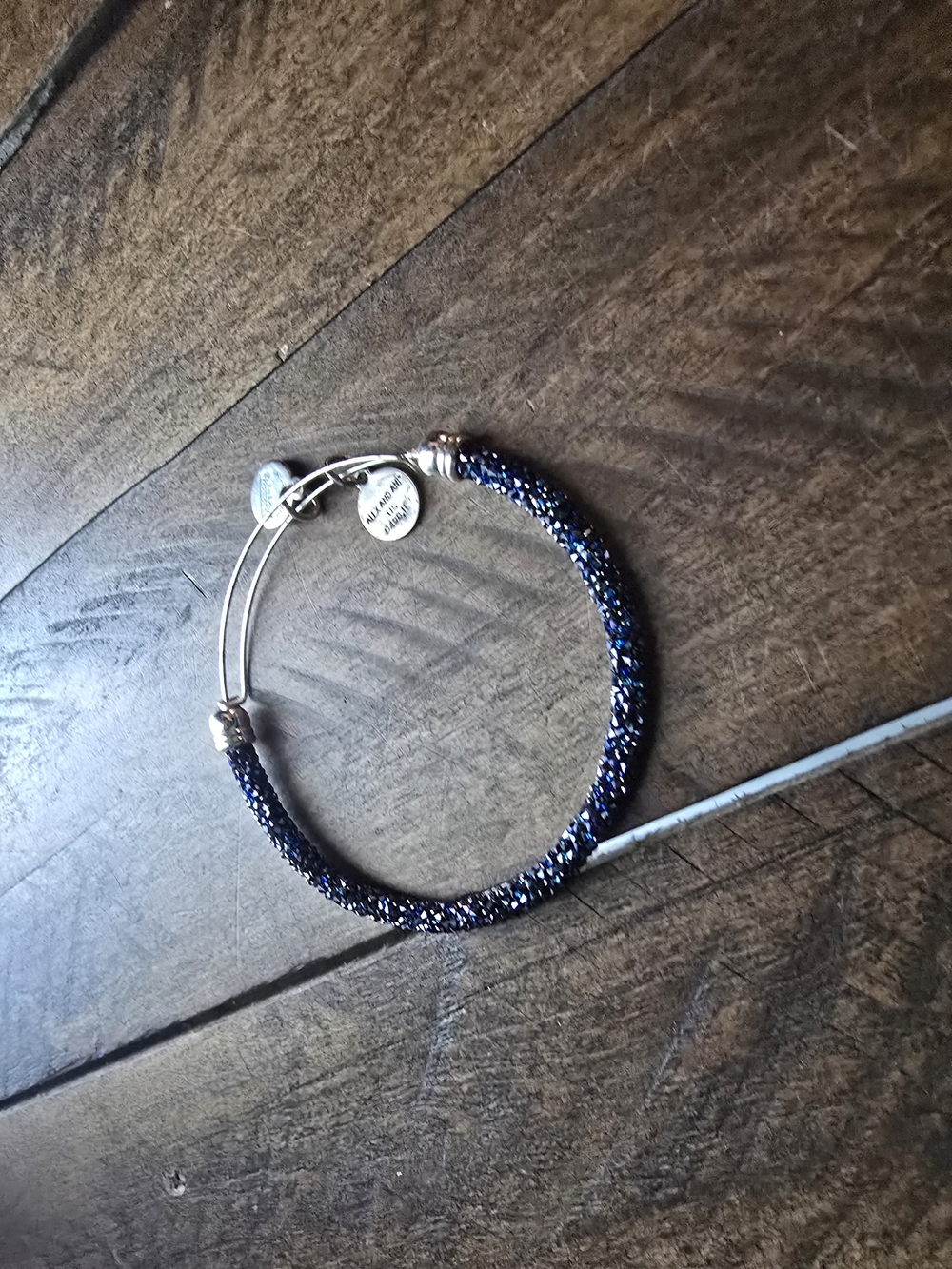 Alex and Ani Silver Double Wire Charm Bangle